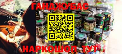 крисы Бийск