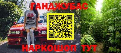 крисы Бийск