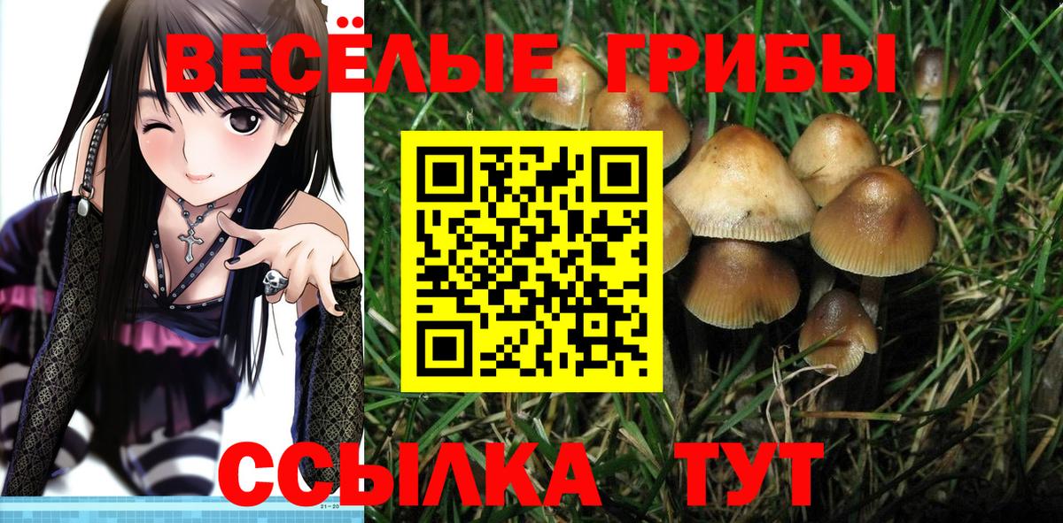 Галлюциногенные грибы Magic Shrooms Камышлов